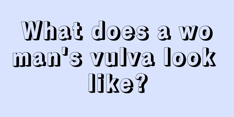 What does a woman's vulva look like?