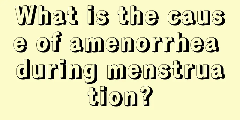 What is the cause of amenorrhea during menstruation?