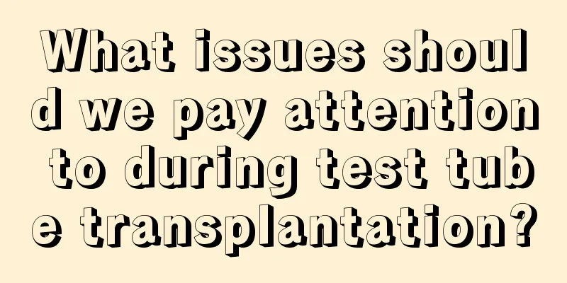 What issues should we pay attention to during test tube transplantation?