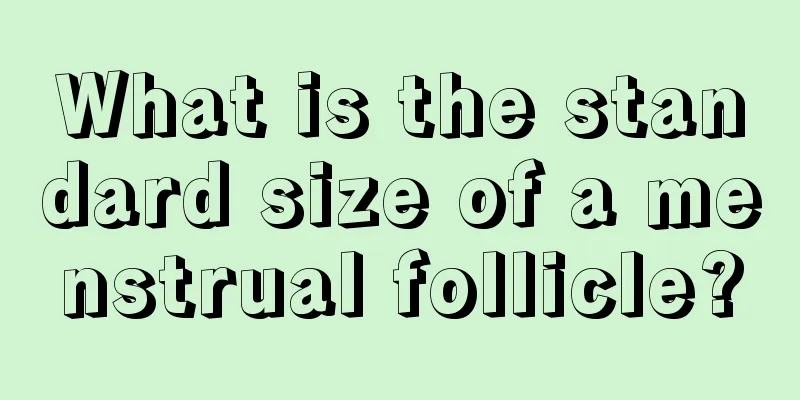 What is the standard size of a menstrual follicle?