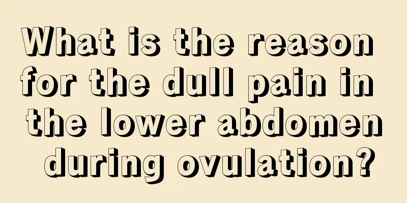 What is the reason for the dull pain in the lower abdomen during ovulation?