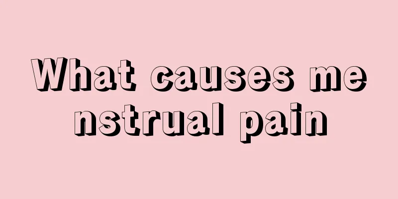 What causes menstrual pain