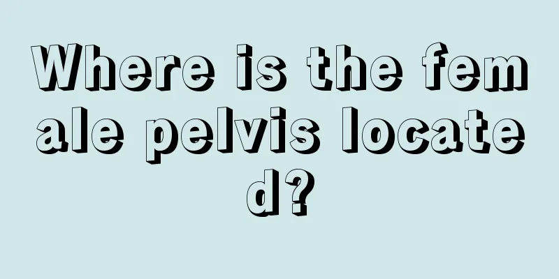 Where is the female pelvis located?