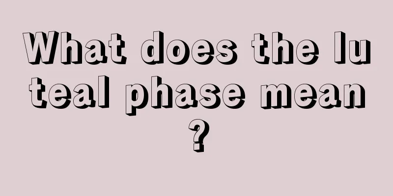 What does the luteal phase mean?