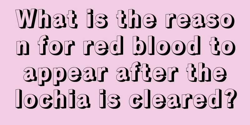 What is the reason for red blood to appear after the lochia is cleared?