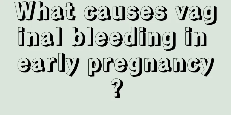 What causes vaginal bleeding in early pregnancy?