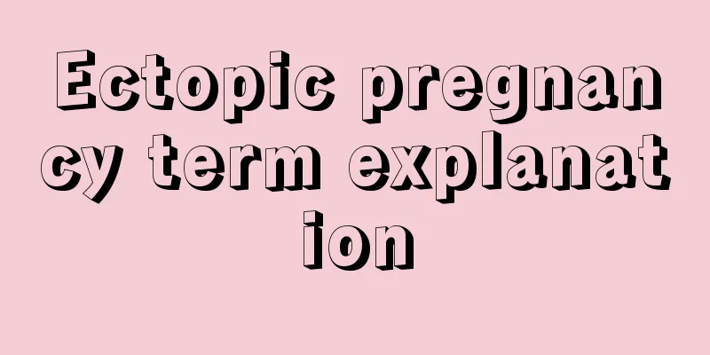 Ectopic pregnancy term explanation