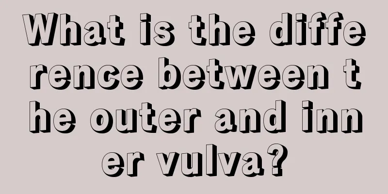 What is the difference between the outer and inner vulva?