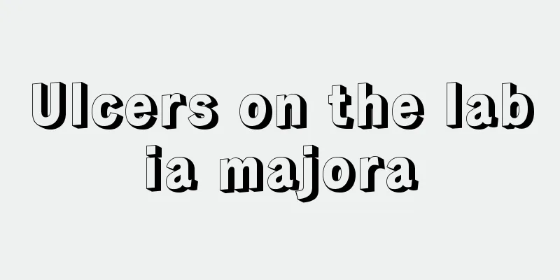 Ulcers on the labia majora