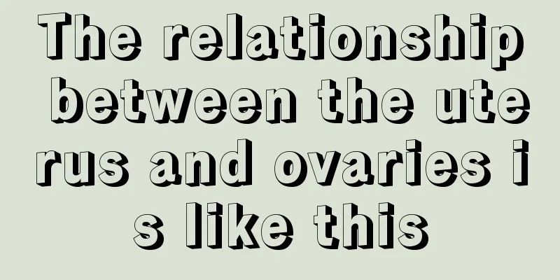 The relationship between the uterus and ovaries is like this