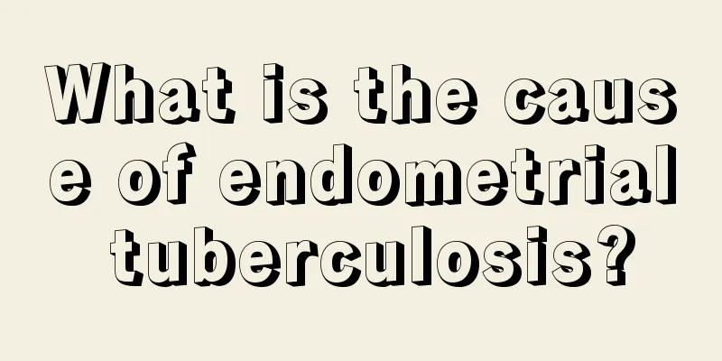 What is the cause of endometrial tuberculosis?