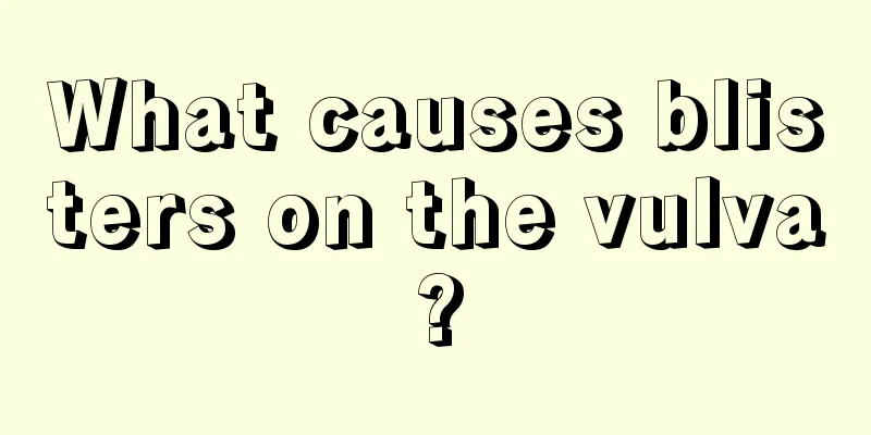 What causes blisters on the vulva?