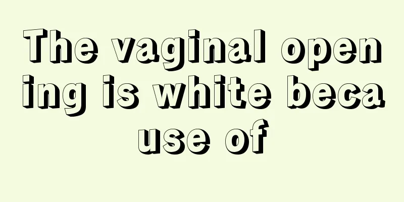 The vaginal opening is white because of