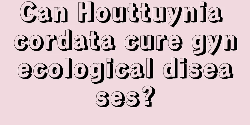 Can Houttuynia cordata cure gynecological diseases?