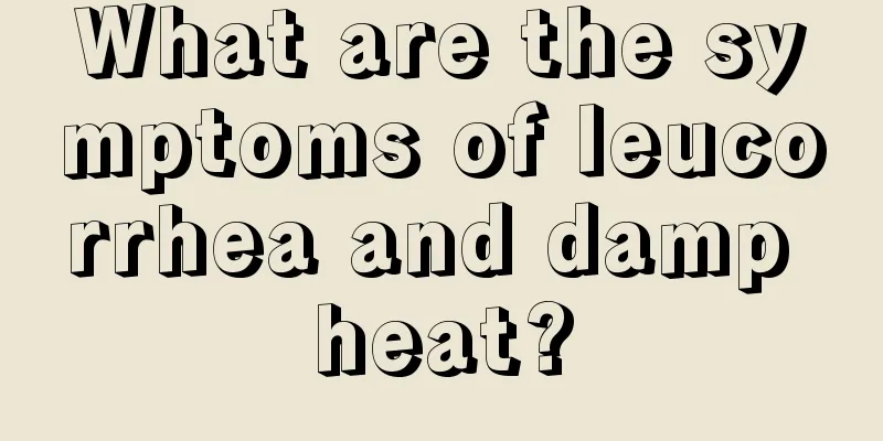 What are the symptoms of leucorrhea and damp heat?