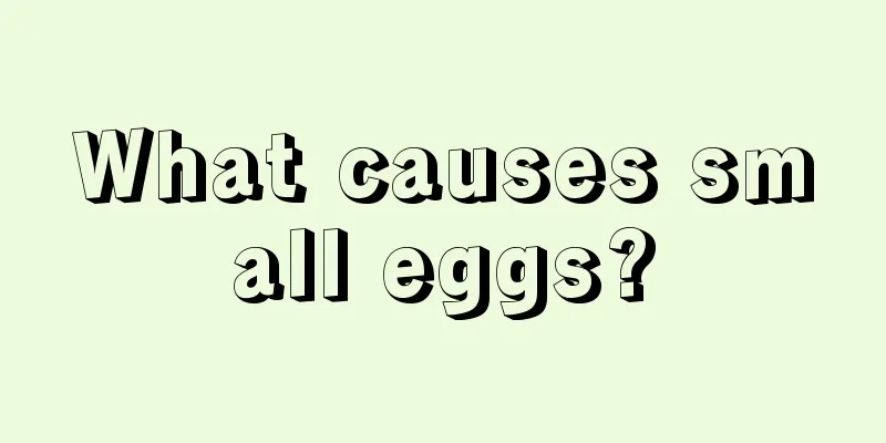 What causes small eggs?