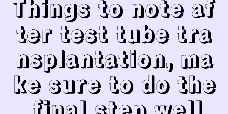 Things to note after test tube transplantation, make sure to do the final step well