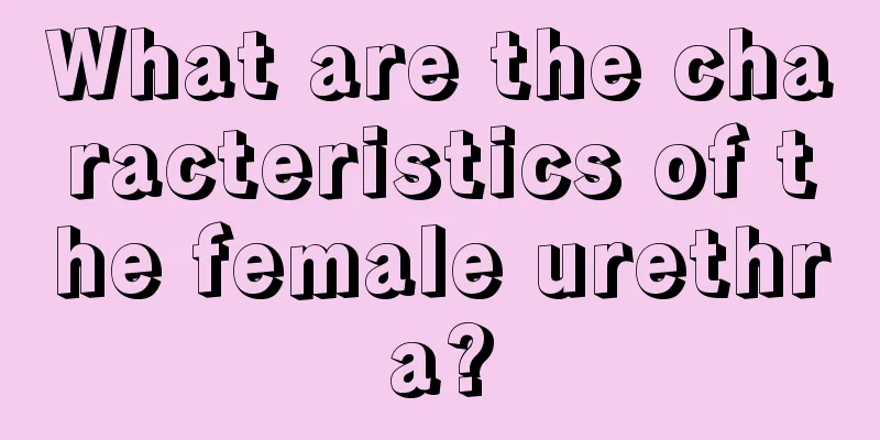 What are the characteristics of the female urethra?