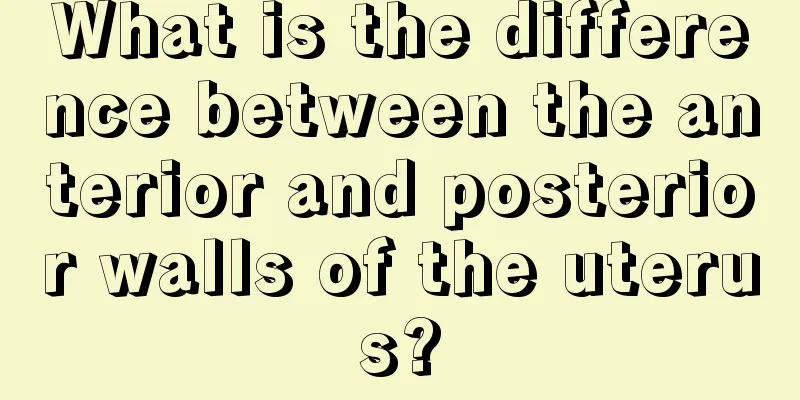 What is the difference between the anterior and posterior walls of the uterus?