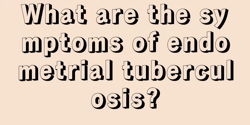 What are the symptoms of endometrial tuberculosis?