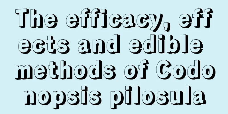 The efficacy, effects and edible methods of Codonopsis pilosula