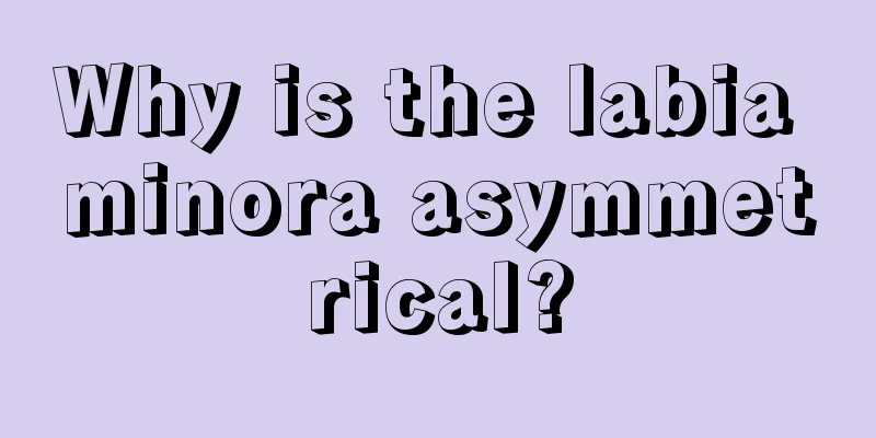 Why is the labia minora asymmetrical?