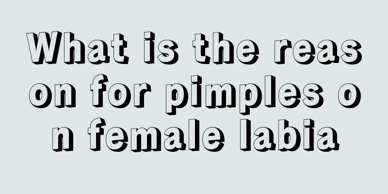 What is the reason for pimples on female labia