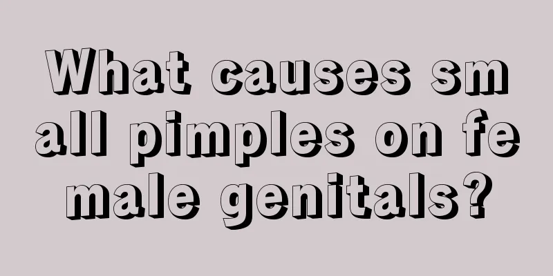 What causes small pimples on female genitals?