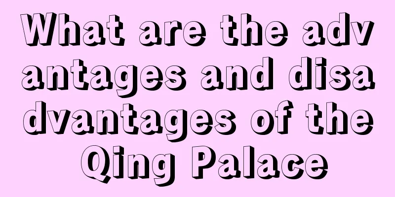 What are the advantages and disadvantages of the Qing Palace