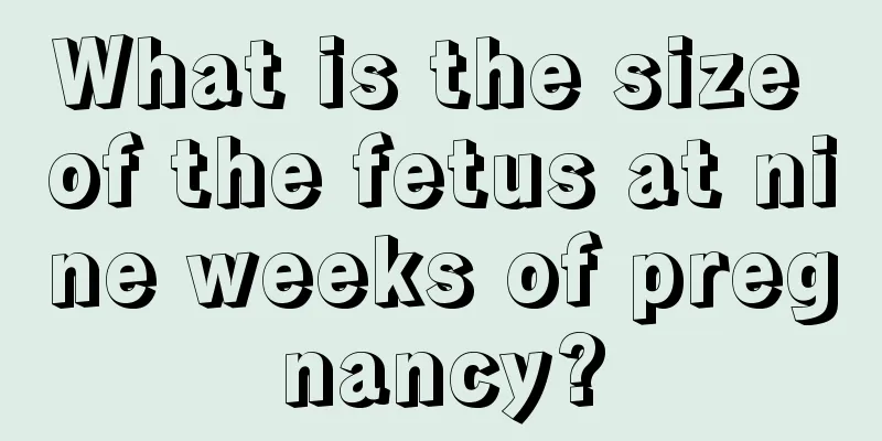 What is the size of the fetus at nine weeks of pregnancy?