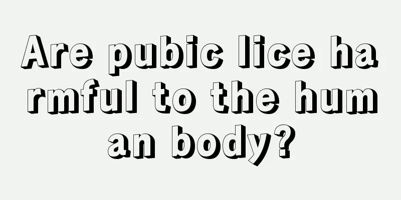 Are pubic lice harmful to the human body?