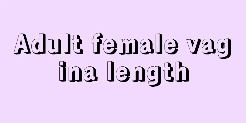 Adult female vagina length