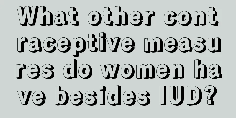 What other contraceptive measures do women have besides IUD?