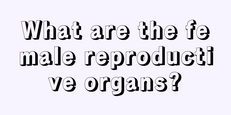 What are the female reproductive organs?