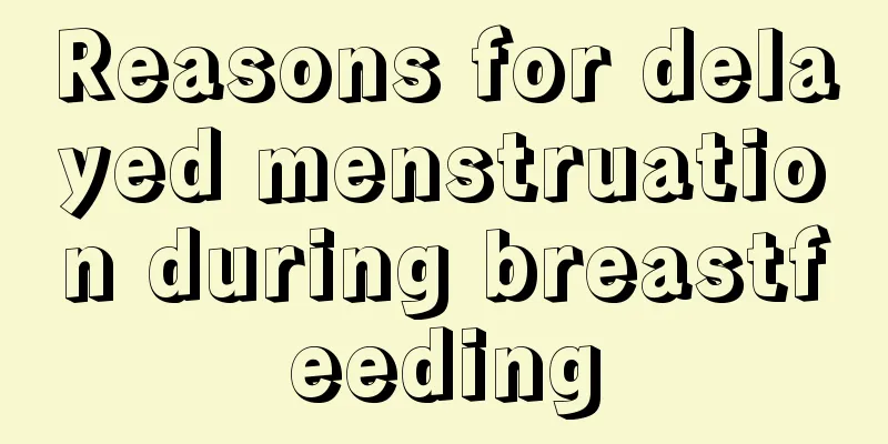 Reasons for delayed menstruation during breastfeeding