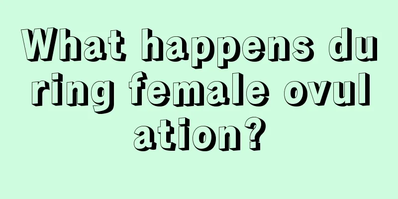 What happens during female ovulation?