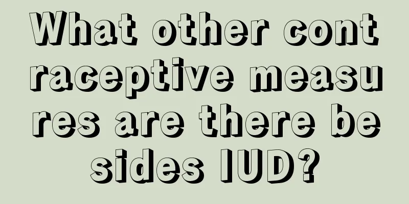 What other contraceptive measures are there besides IUD?