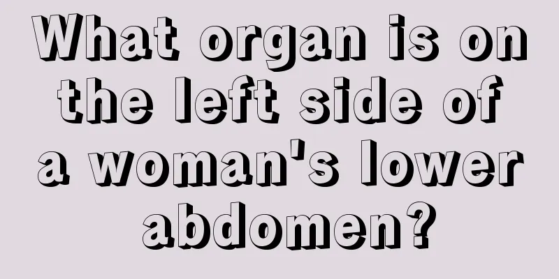 What organ is on the left side of a woman's lower abdomen?