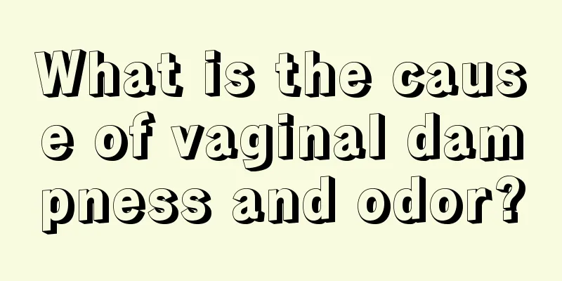 What is the cause of vaginal dampness and odor?