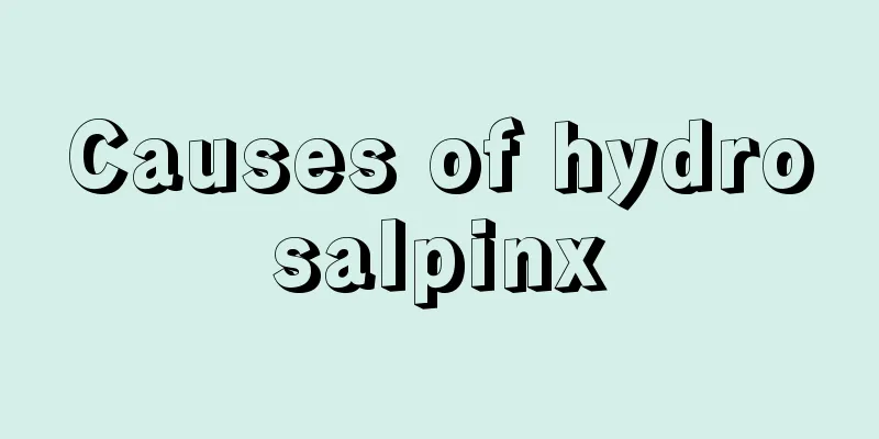 Causes of hydrosalpinx