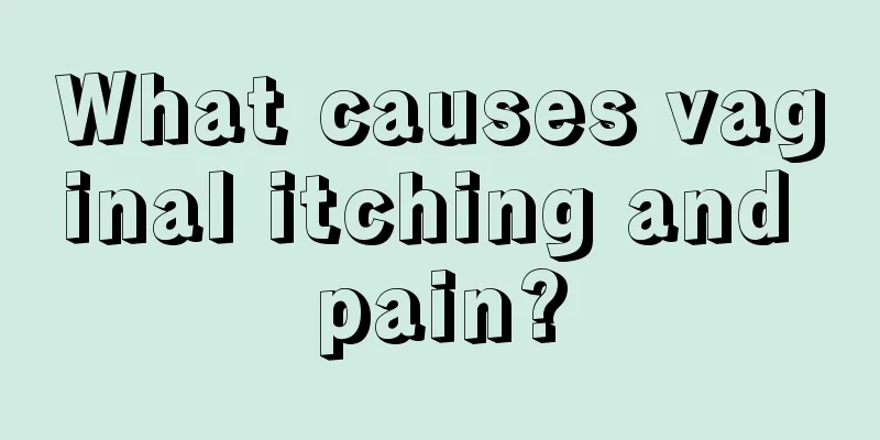 What causes vaginal itching and pain?