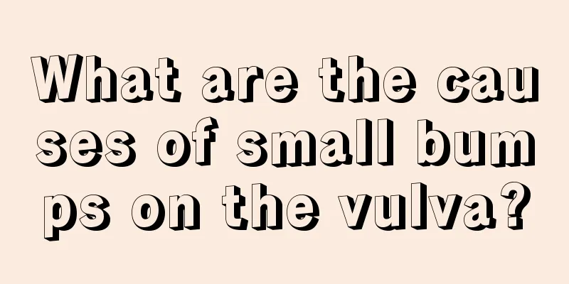 What are the causes of small bumps on the vulva?