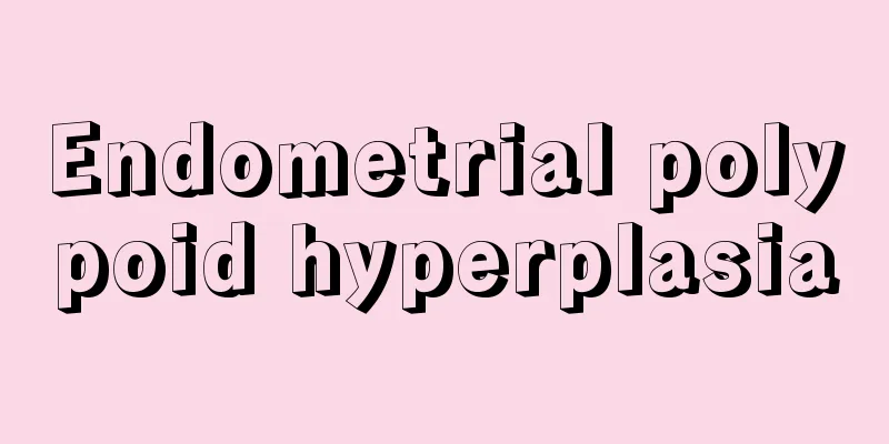 Endometrial polypoid hyperplasia