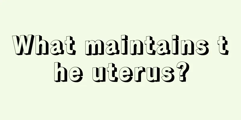 What maintains the uterus?