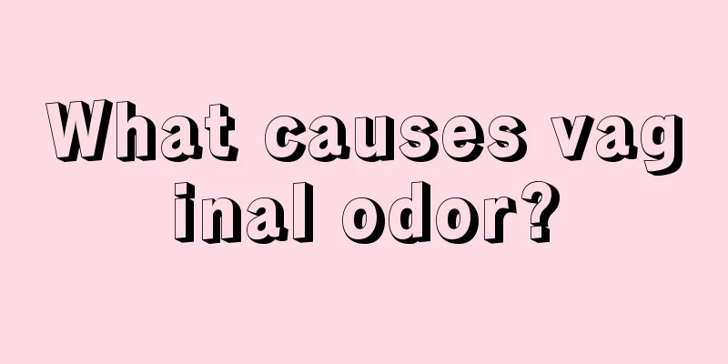 What causes vaginal odor?