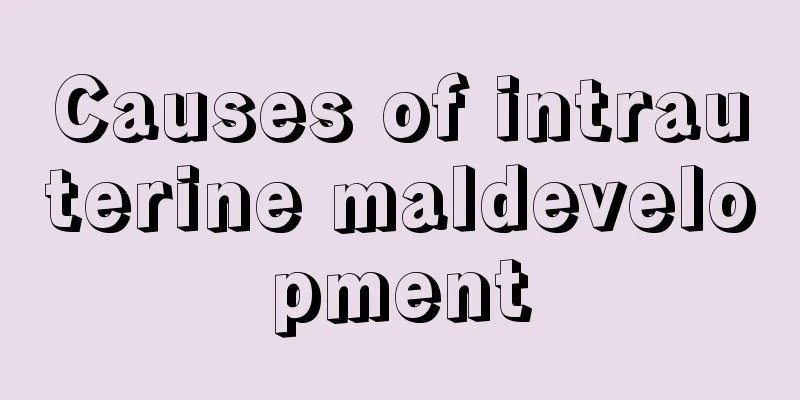 Causes of intrauterine maldevelopment