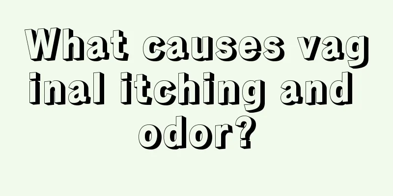 What causes vaginal itching and odor?