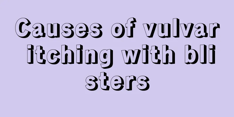 Causes of vulvar itching with blisters