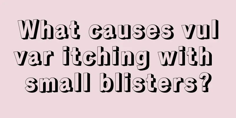 What causes vulvar itching with small blisters?