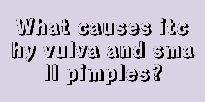 What causes itchy vulva and small pimples?